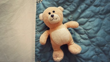 aviary-image-1500302070923